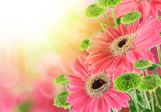 804665 (a): :2880x1997
